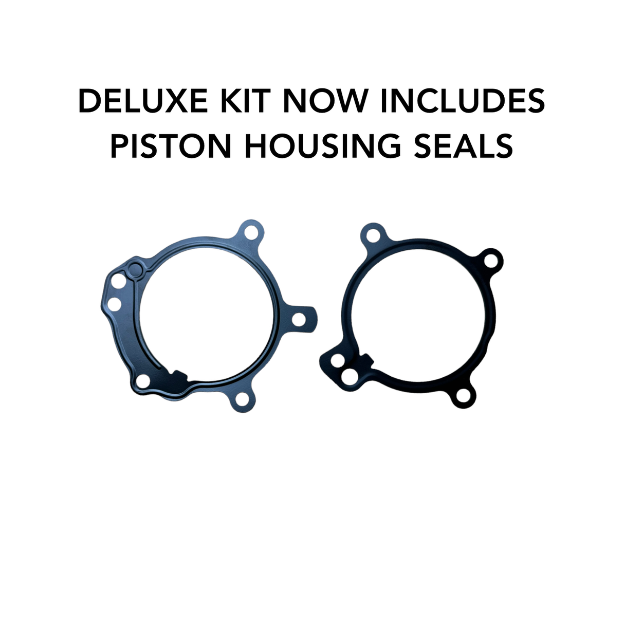 BMW Dual VANOS Rebuild Kit