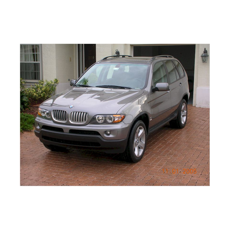 E53 X5 Titanium Front Grilles
