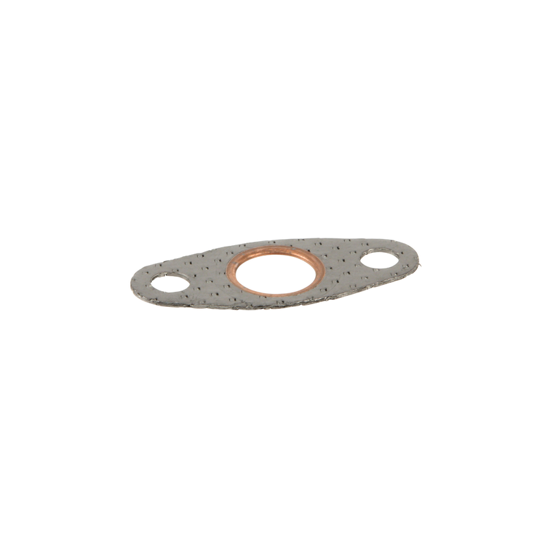 Secondary Air Pump Gasket - 11721435367