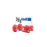 HR_RaceSprings_E30-01.png